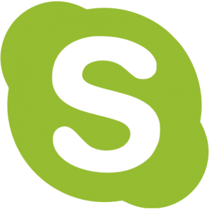 Skype Icon Grün